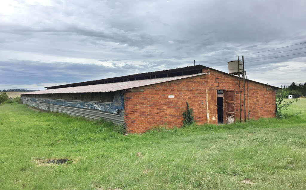 broiler poultry housing