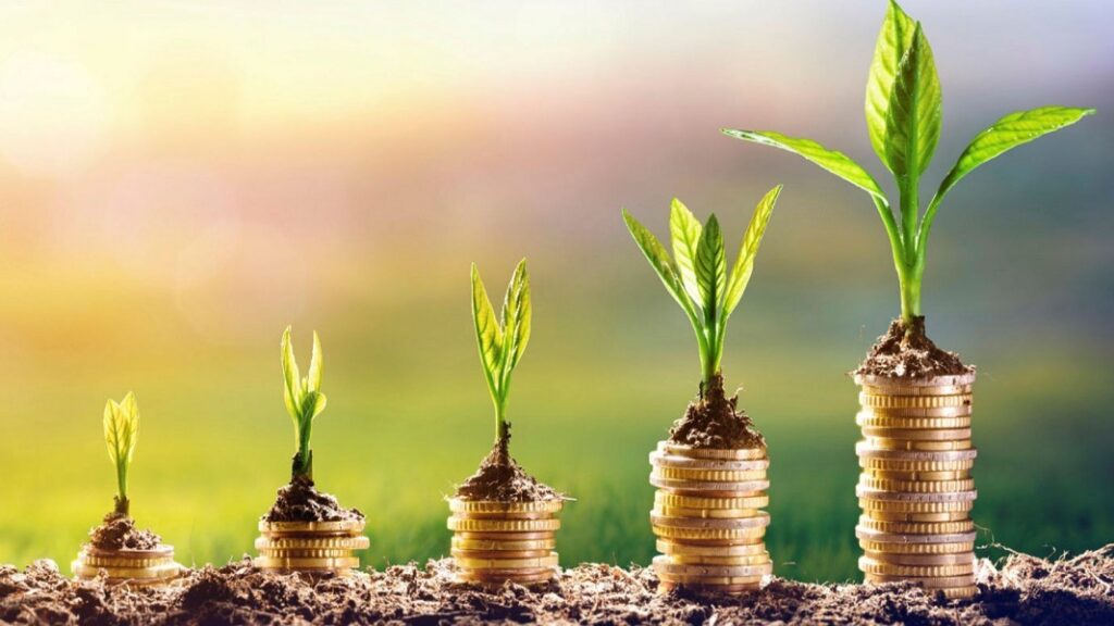 Zimbabwean business success