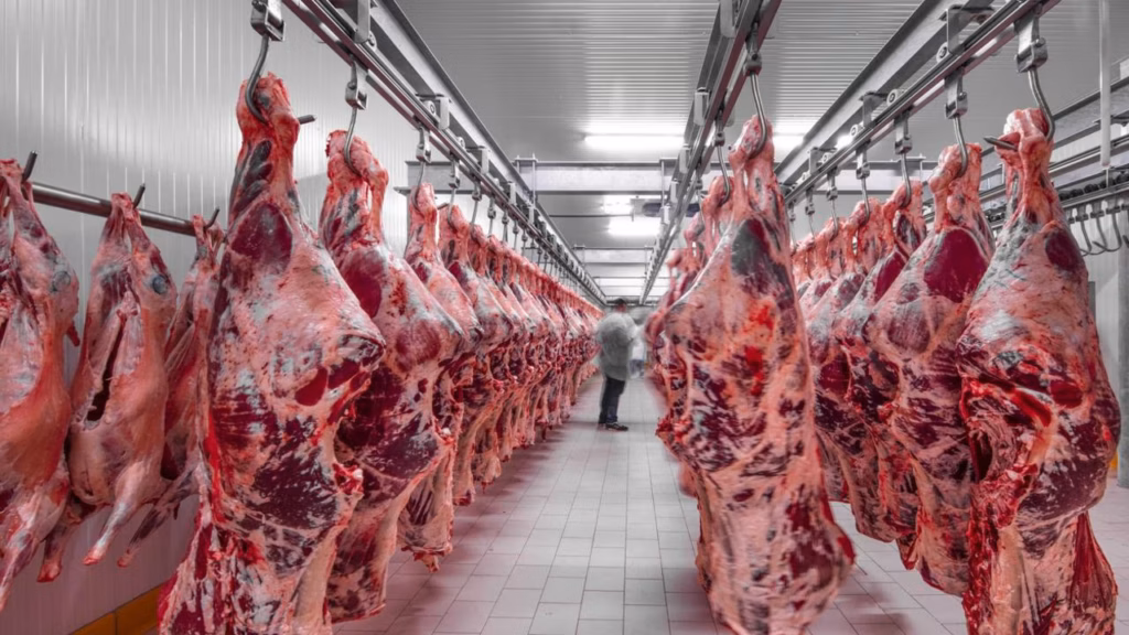 Beef Committee commercialization in Zimbabwe