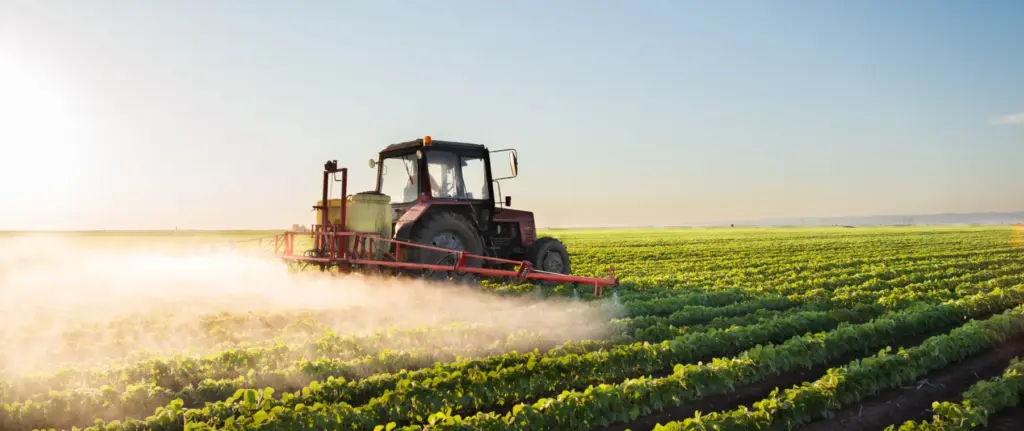 Long-term sustainable businesses in Zimbabwe