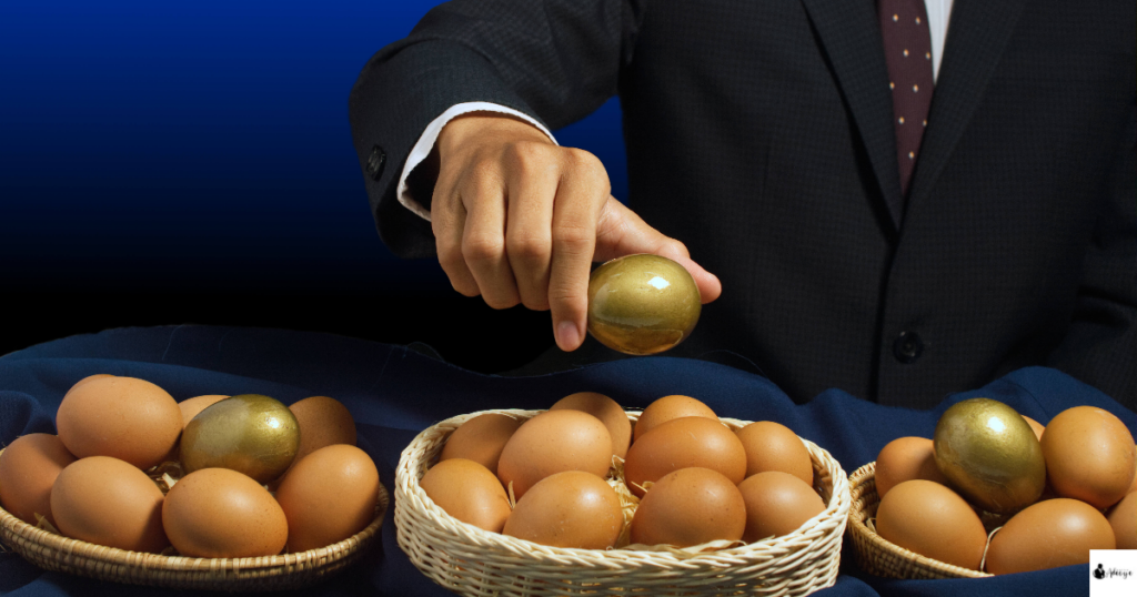 business diversification